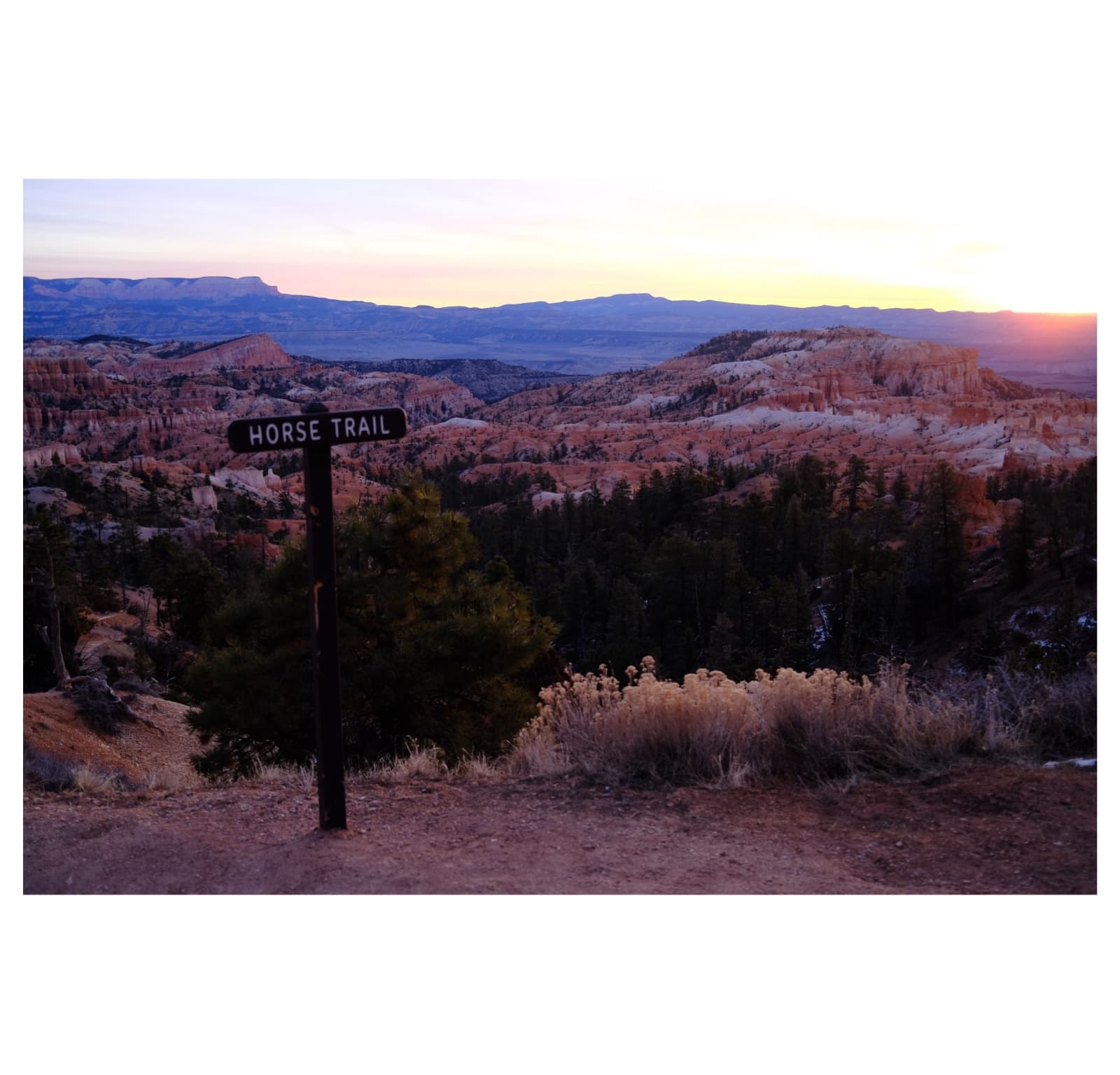 Arizona Road Trip — 4