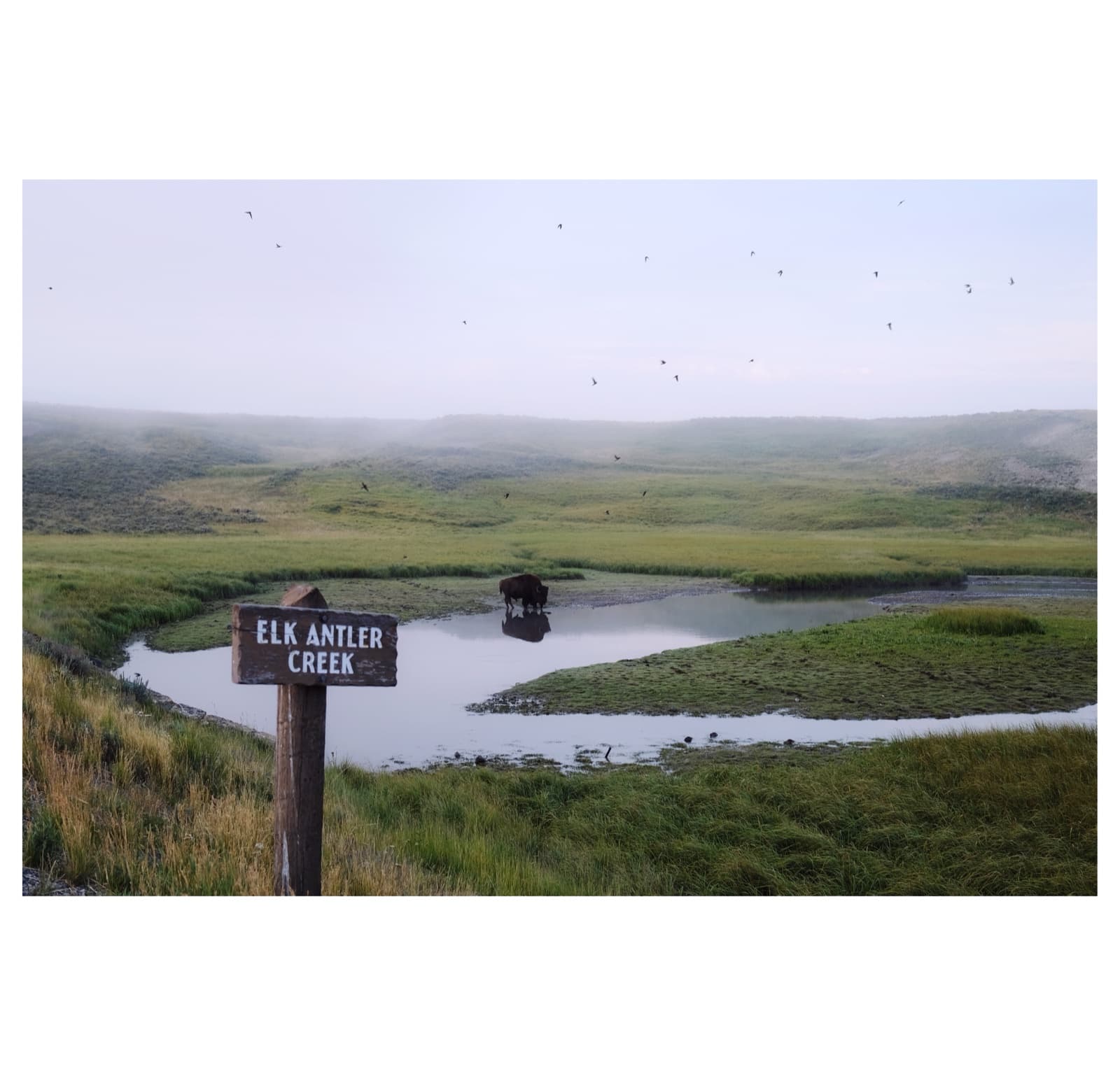 Yellowstone — 1